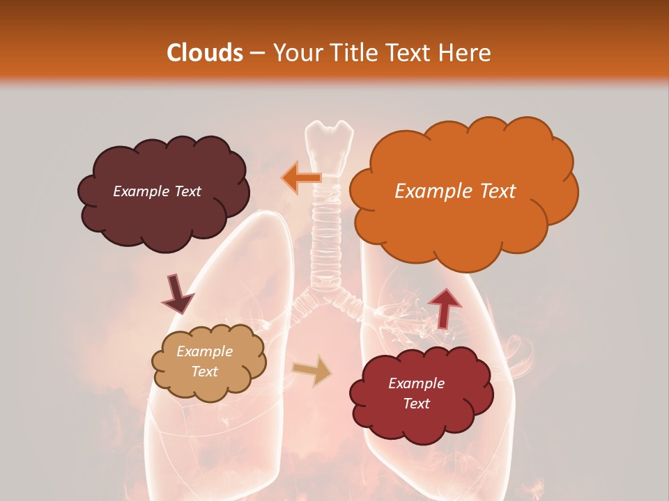 Biological Male Health PowerPoint Template