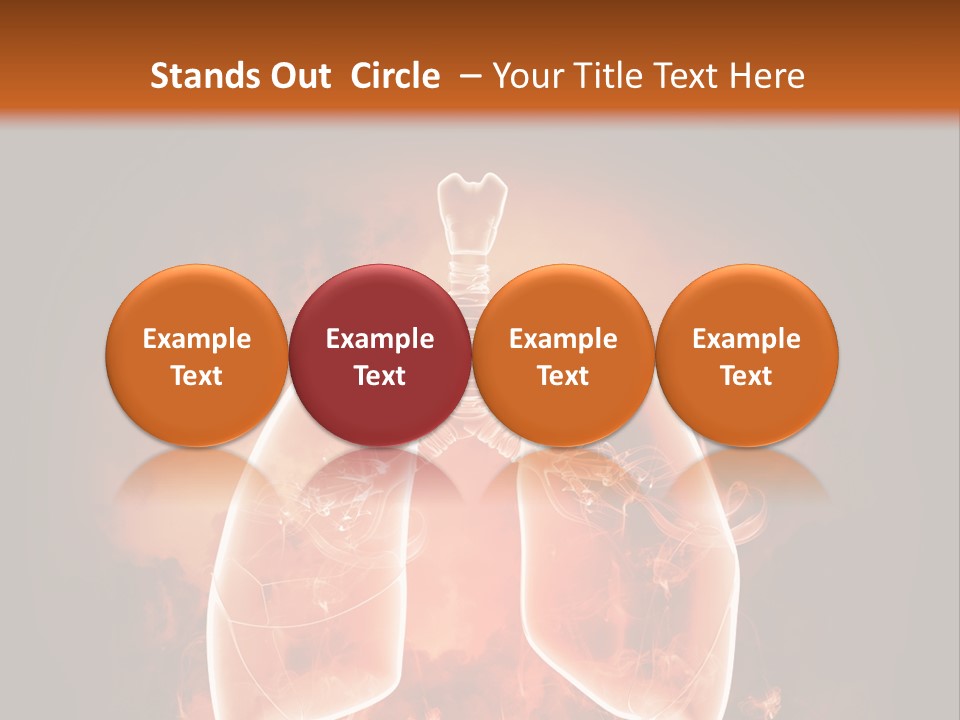 Biological Male Health PowerPoint Template