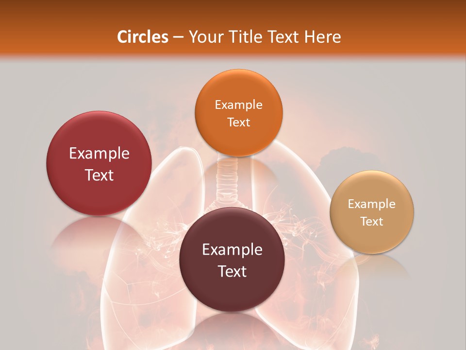 Biological Male Health PowerPoint Template