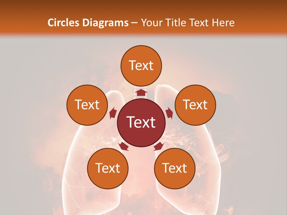 Biological Male Health PowerPoint Template