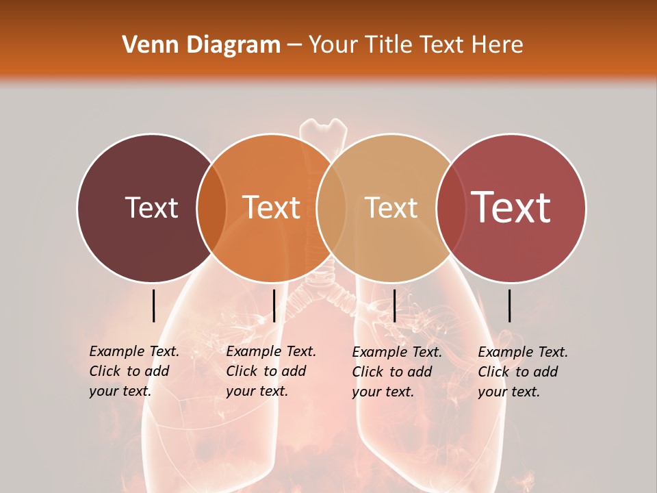 Biological Male Health PowerPoint Template
