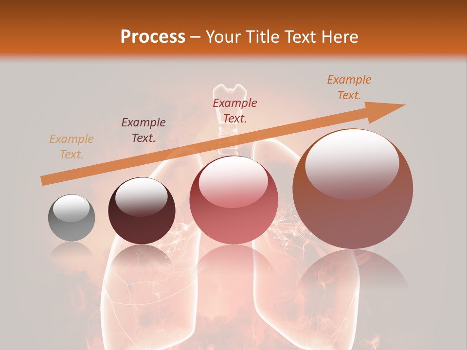 Biological Male Health PowerPoint Template