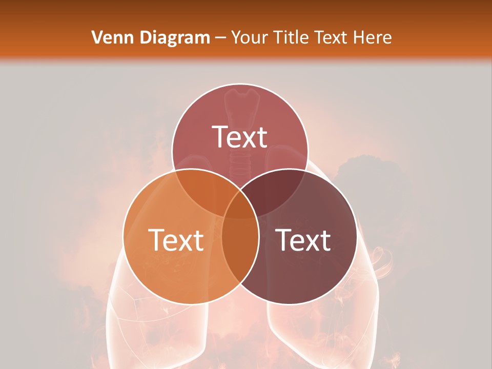 Biological Male Health PowerPoint Template