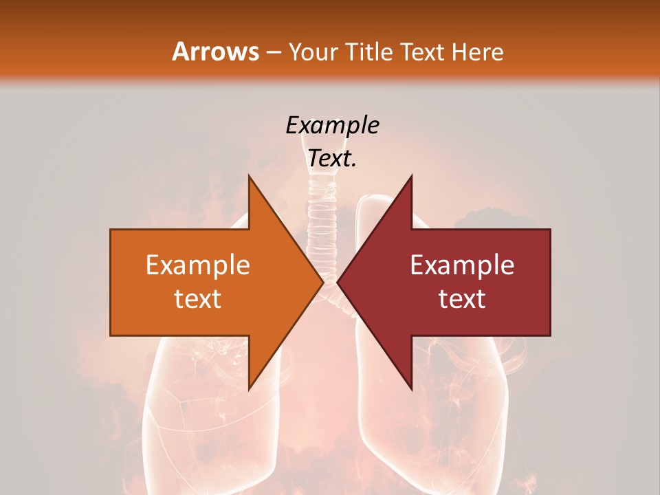 Biological Male Health PowerPoint Template