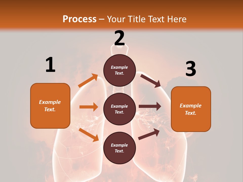 Biological Male Health PowerPoint Template