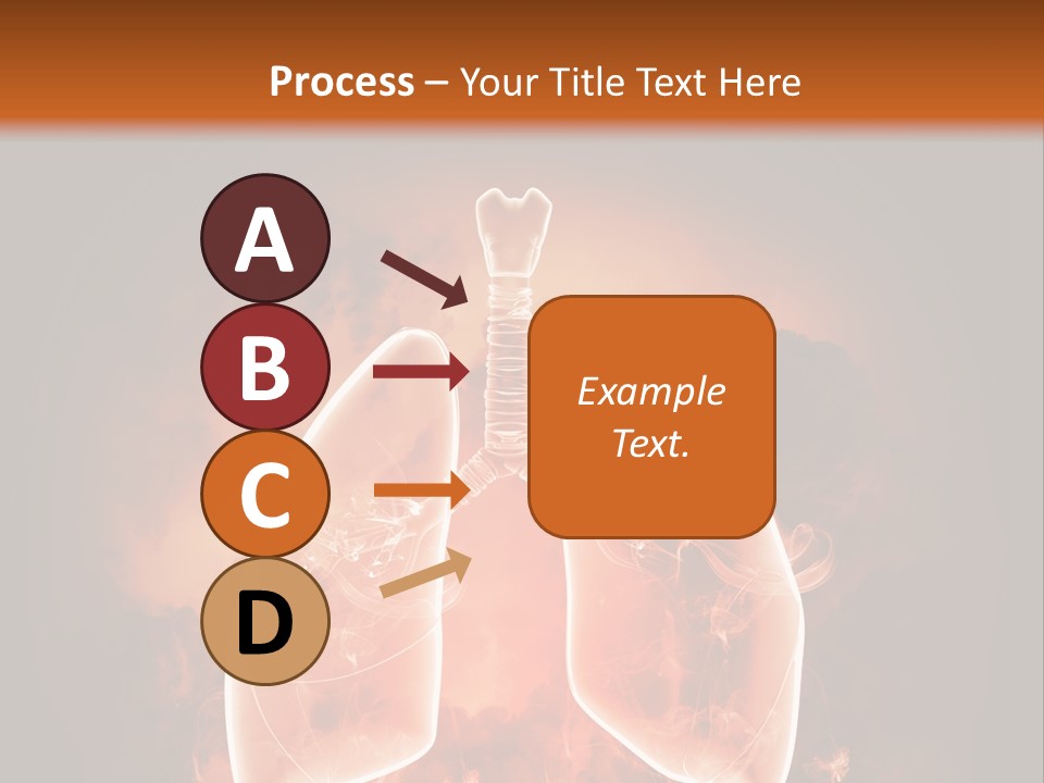 Biological Male Health PowerPoint Template