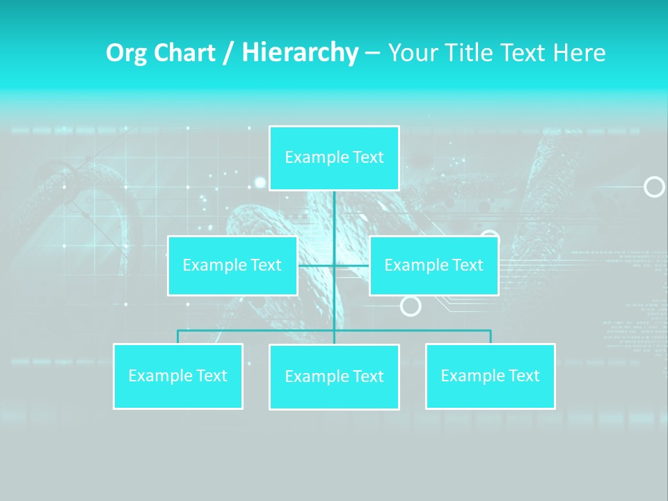 Hormone Human Organ PowerPoint Template