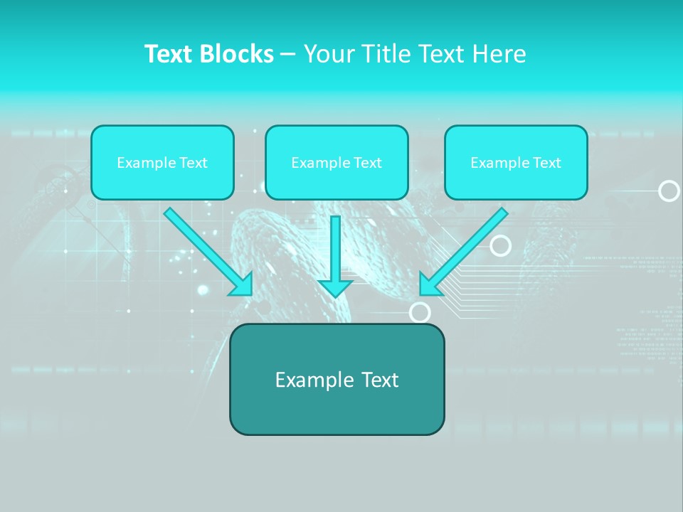 Hormone Human Organ PowerPoint Template