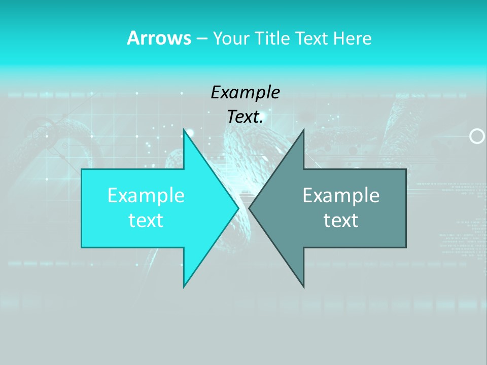 Hormone Human Organ PowerPoint Template