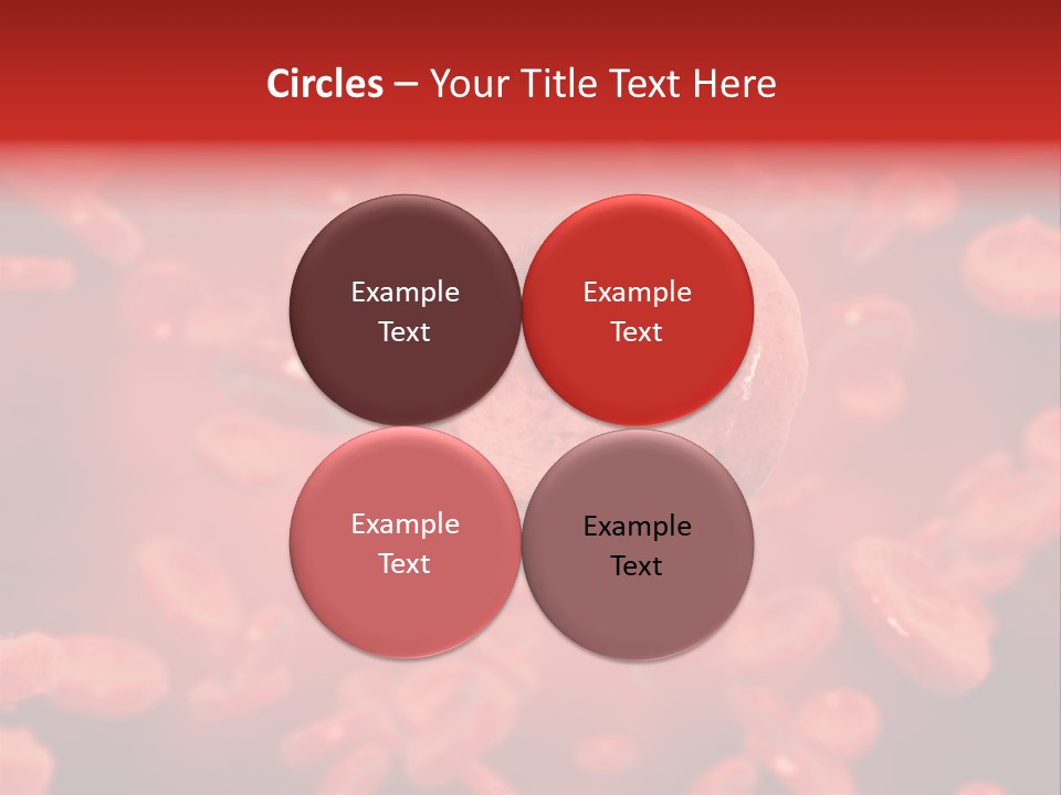 Microbiology Erythrocyte Medicine PowerPoint Template