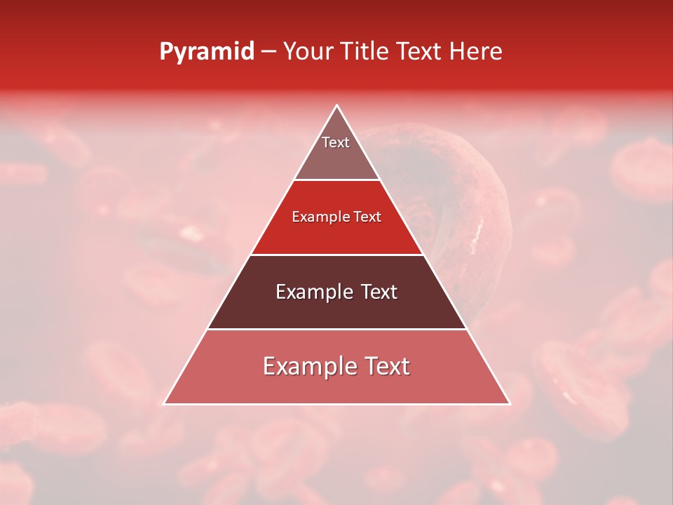 Microbiology Erythrocyte Medicine PowerPoint Template