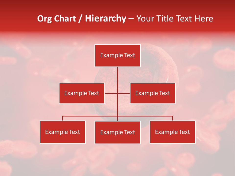 Microbiology Erythrocyte Medicine PowerPoint Template