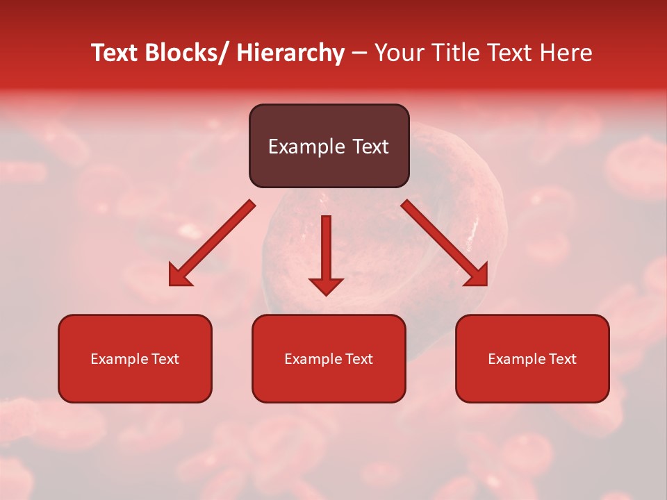 Microbiology Erythrocyte Medicine PowerPoint Template