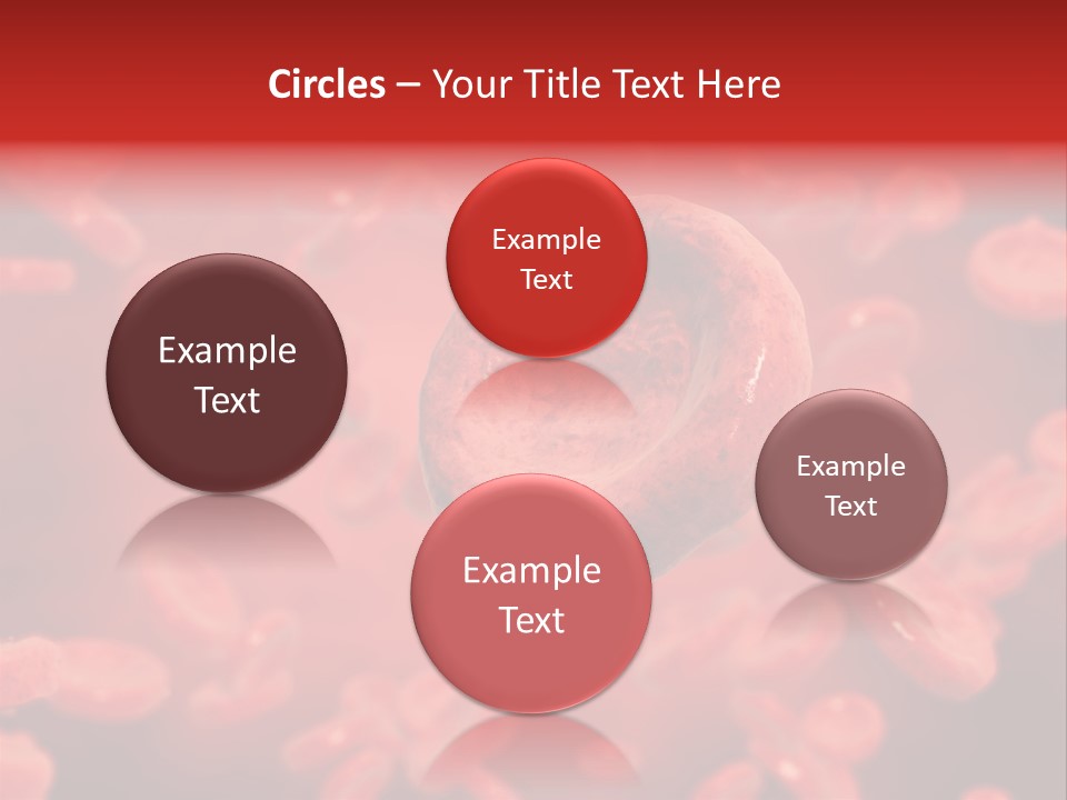 Microbiology Erythrocyte Medicine PowerPoint Template