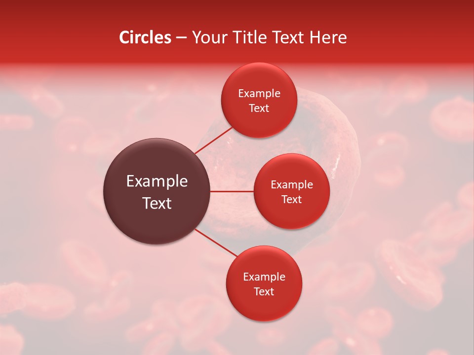 Microbiology Erythrocyte Medicine PowerPoint Template