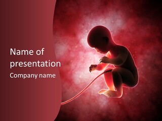 Maternity Embryo Conception PowerPoint Template