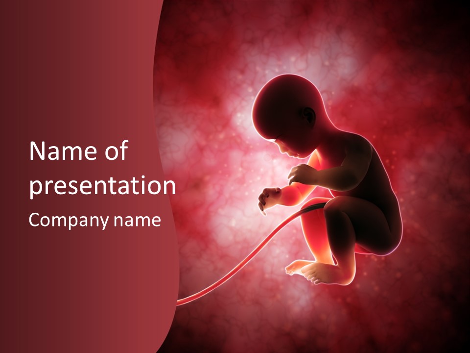 Maternity Embryo Conception PowerPoint Template