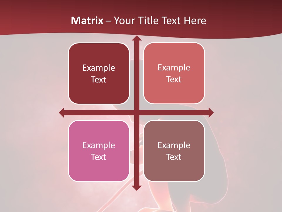Maternity Embryo Conception PowerPoint Template