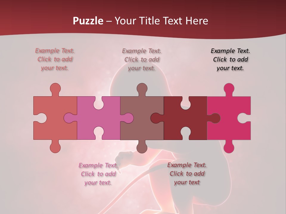 Maternity Embryo Conception PowerPoint Template