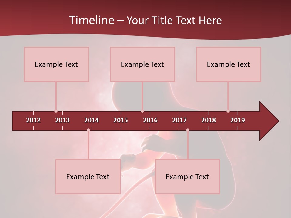 Maternity Embryo Conception PowerPoint Template