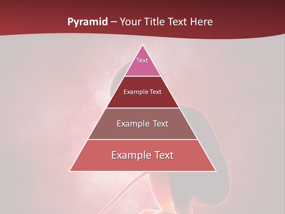 Maternity Embryo Conception PowerPoint Template