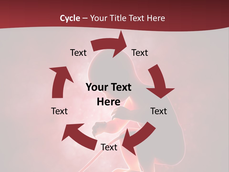 Maternity Embryo Conception PowerPoint Template