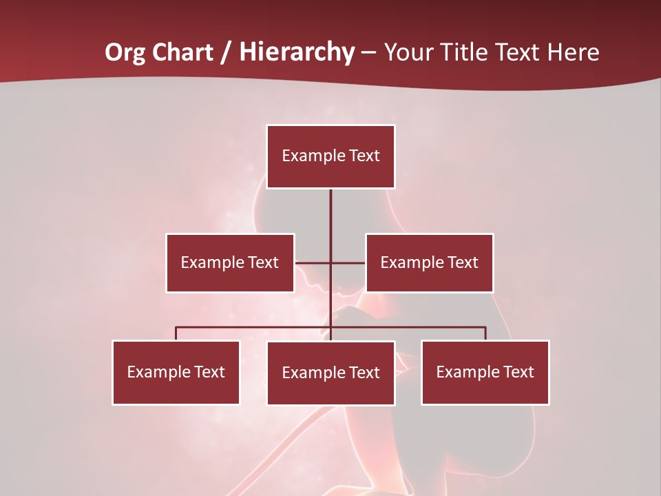 Maternity Embryo Conception PowerPoint Template