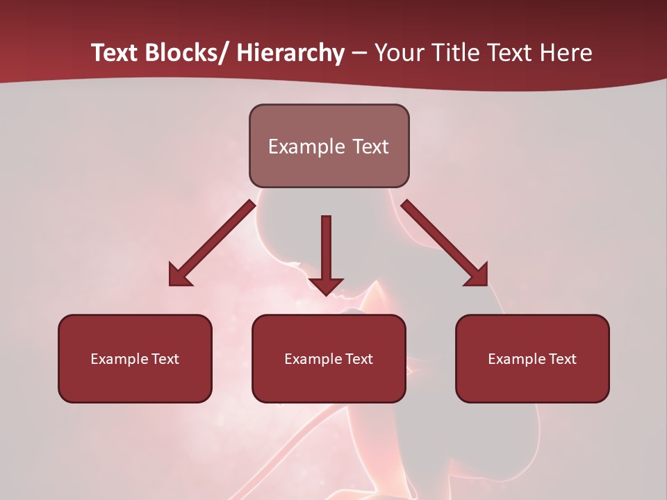 Maternity Embryo Conception PowerPoint Template