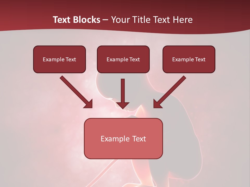 Maternity Embryo Conception PowerPoint Template