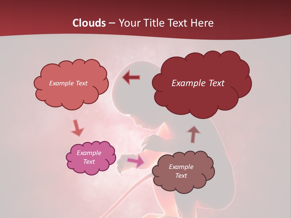 Maternity Embryo Conception PowerPoint Template