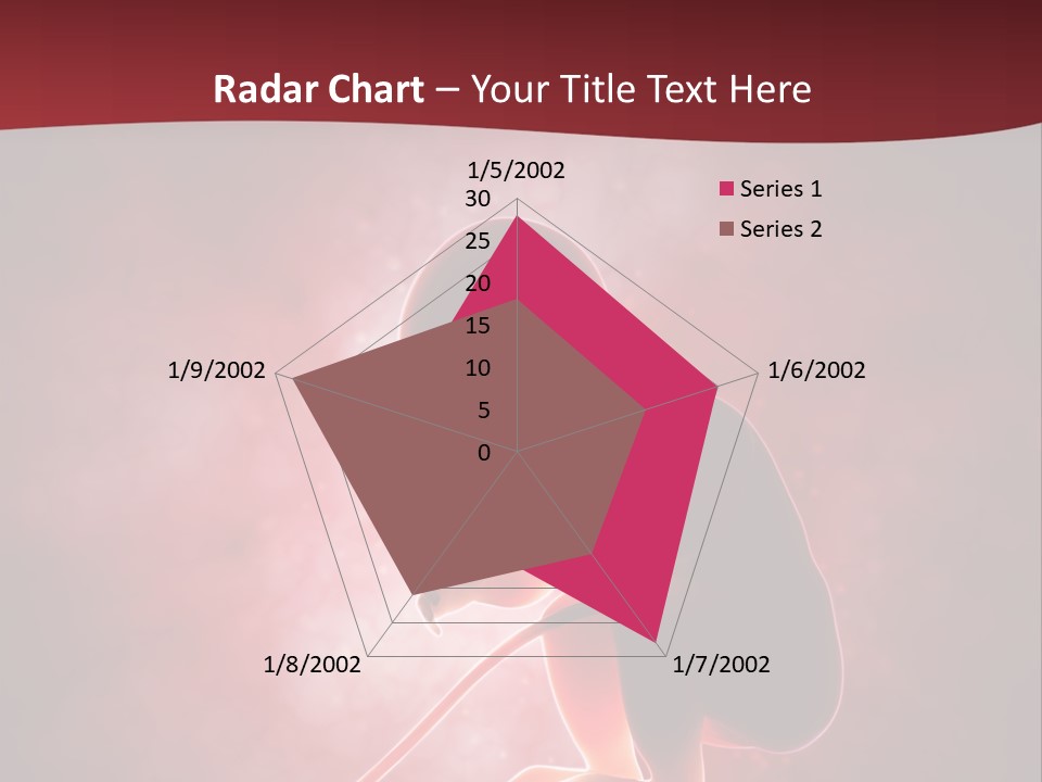 Maternity Embryo Conception PowerPoint Template