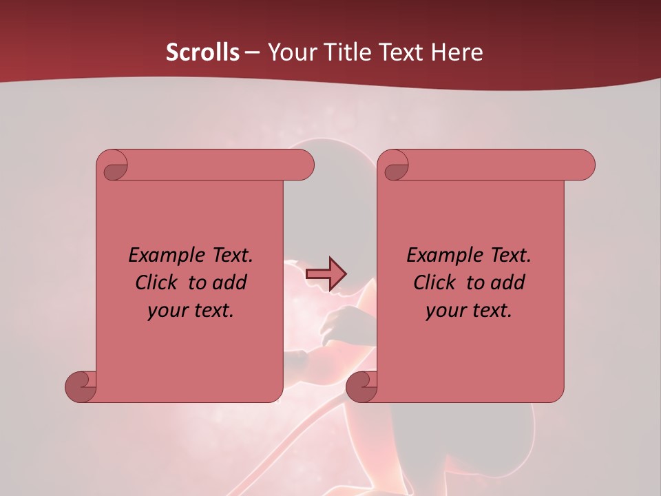 Maternity Embryo Conception PowerPoint Template