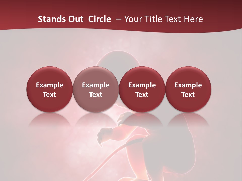 Maternity Embryo Conception PowerPoint Template