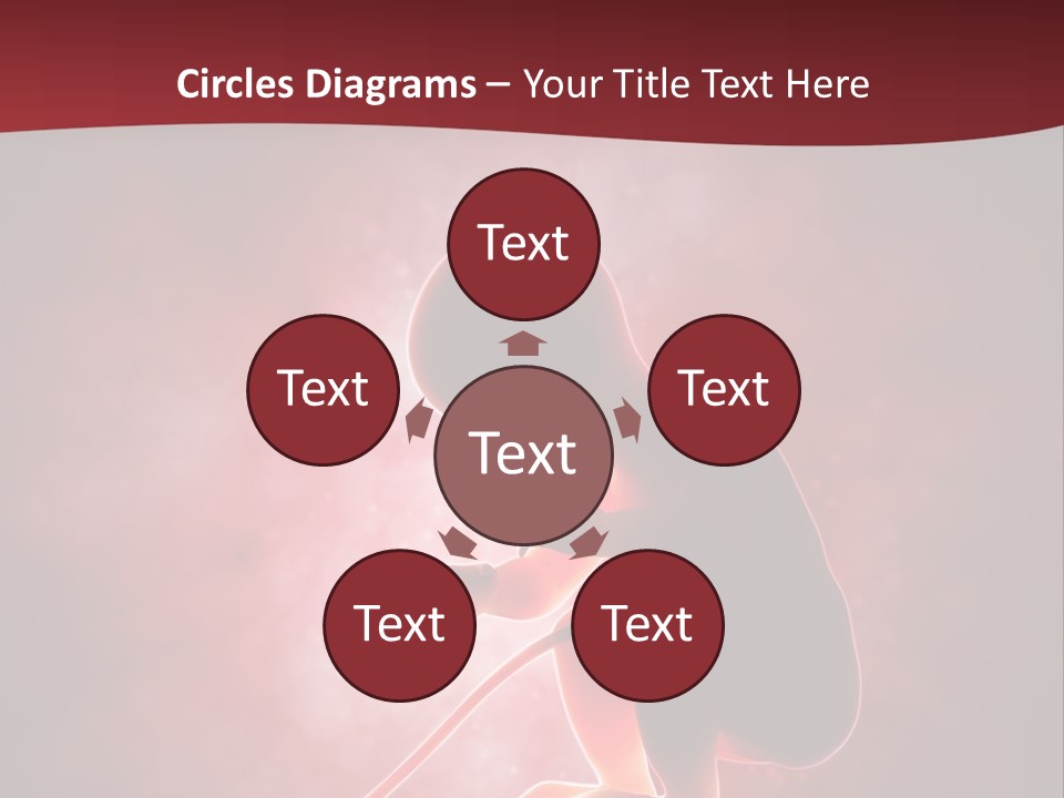 Maternity Embryo Conception PowerPoint Template