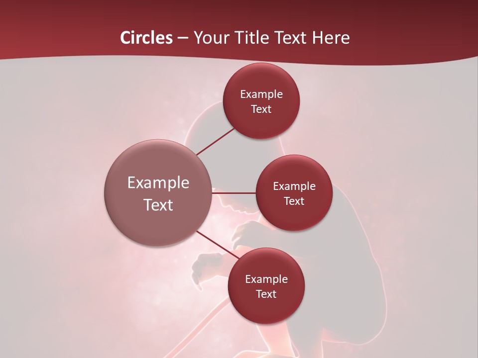 Maternity Embryo Conception PowerPoint Template