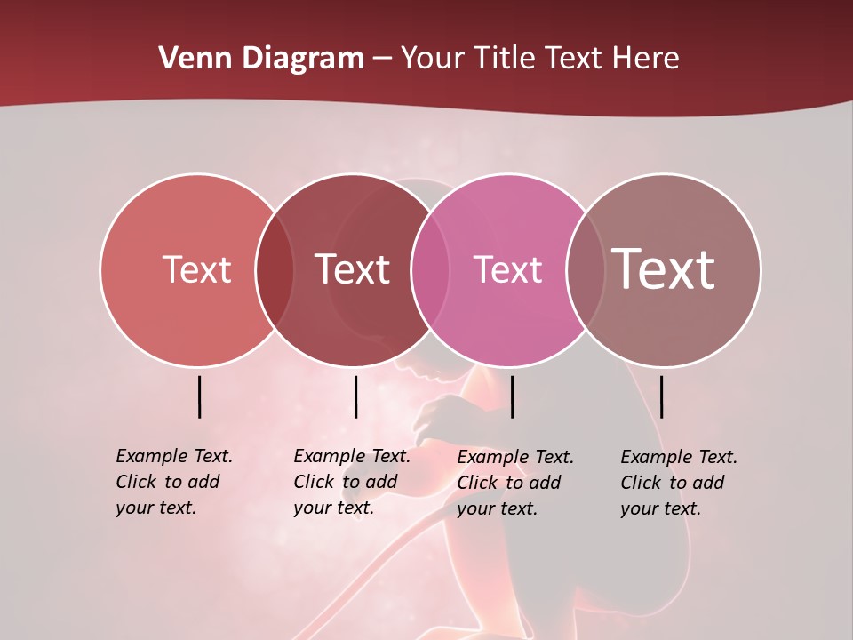 Maternity Embryo Conception PowerPoint Template