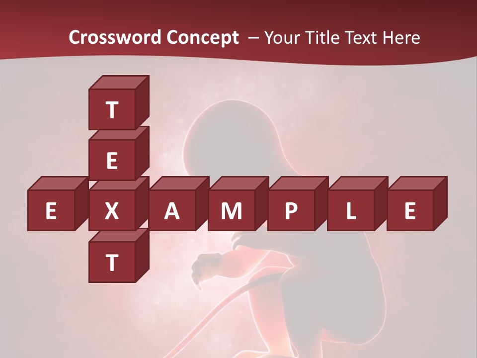 Maternity Embryo Conception PowerPoint Template