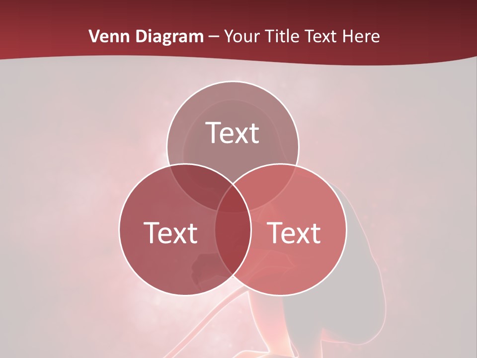 Maternity Embryo Conception PowerPoint Template