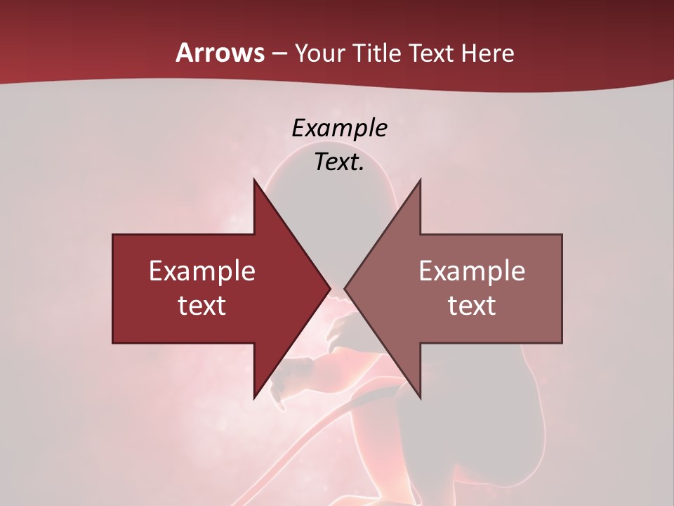 Maternity Embryo Conception PowerPoint Template