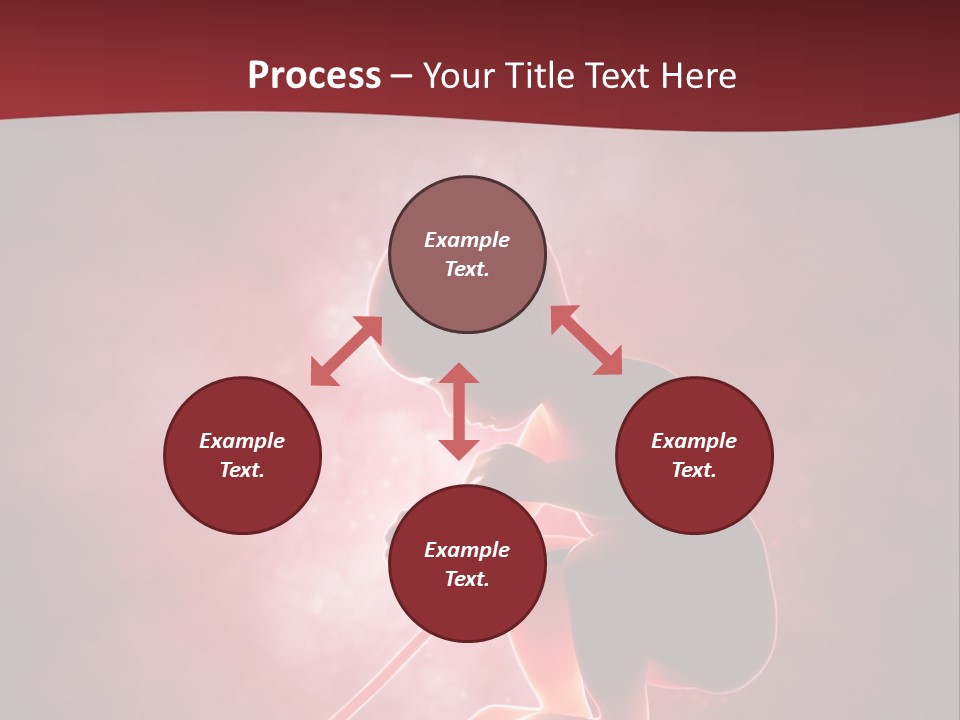 Maternity Embryo Conception PowerPoint Template