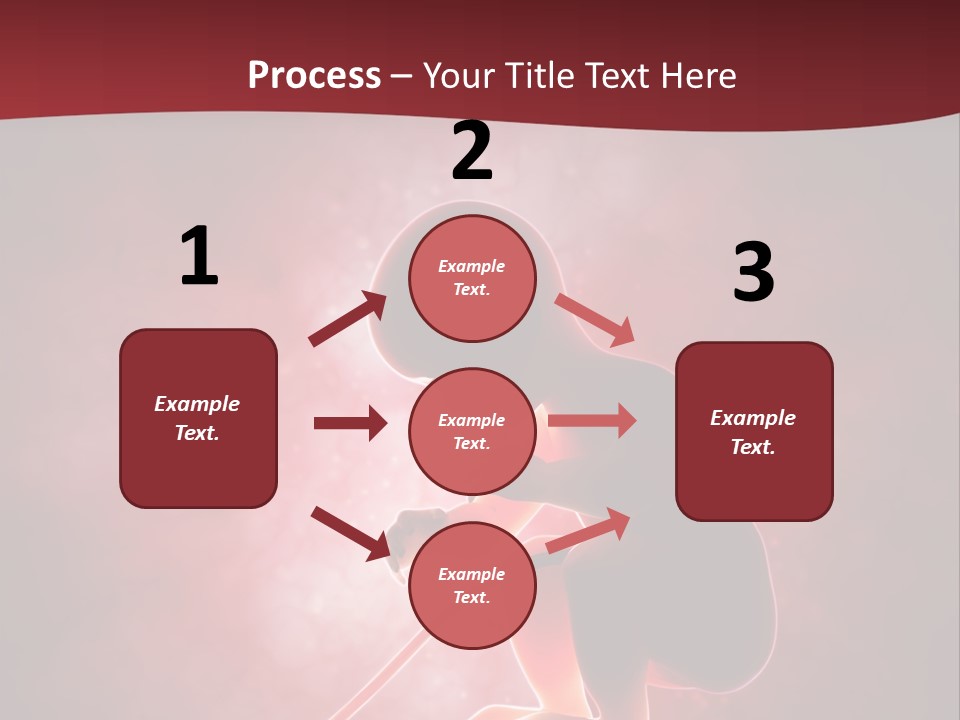 Maternity Embryo Conception PowerPoint Template