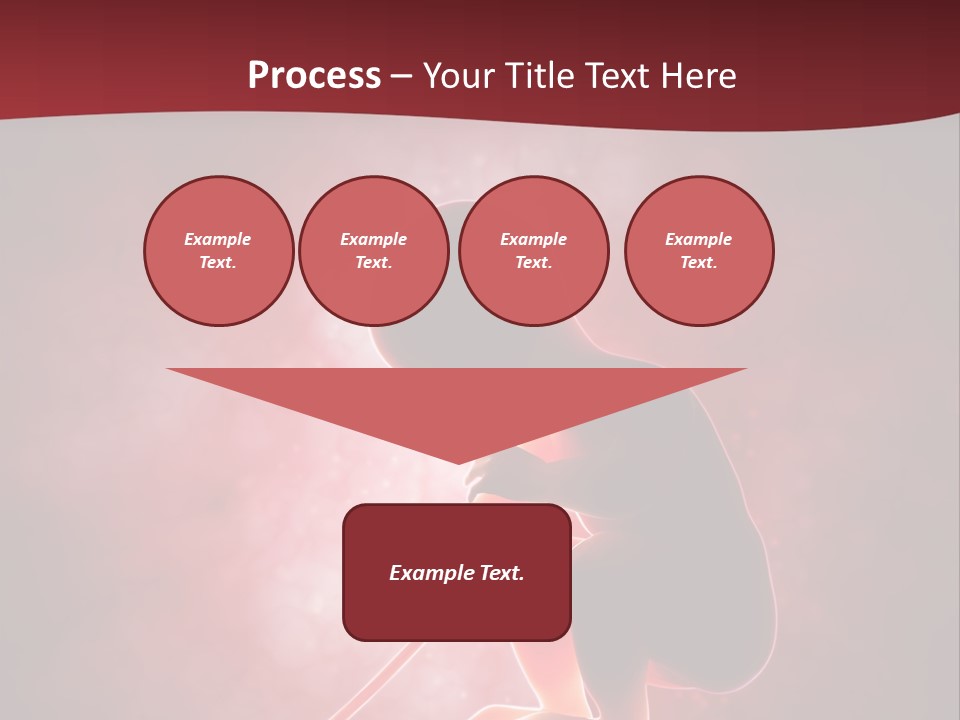 Maternity Embryo Conception PowerPoint Template