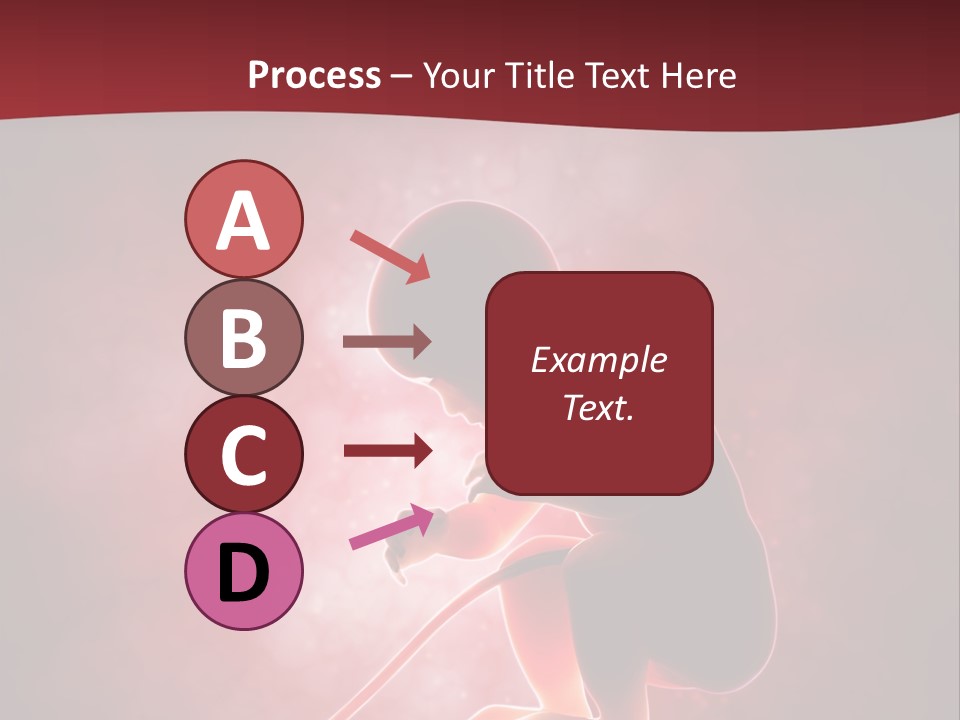 Maternity Embryo Conception PowerPoint Template
