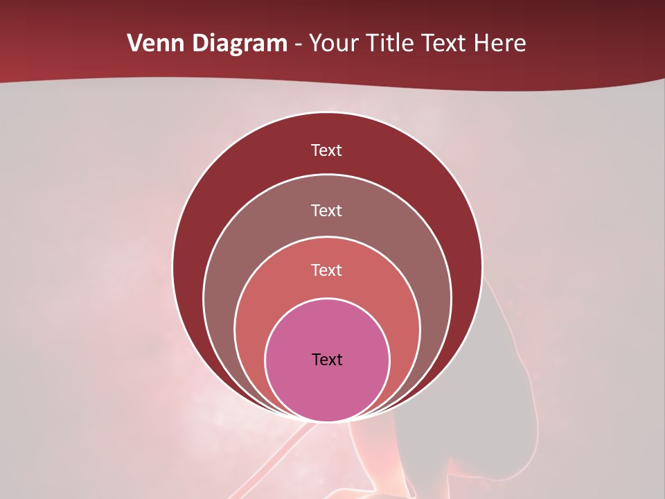 Maternity Embryo Conception PowerPoint Template
