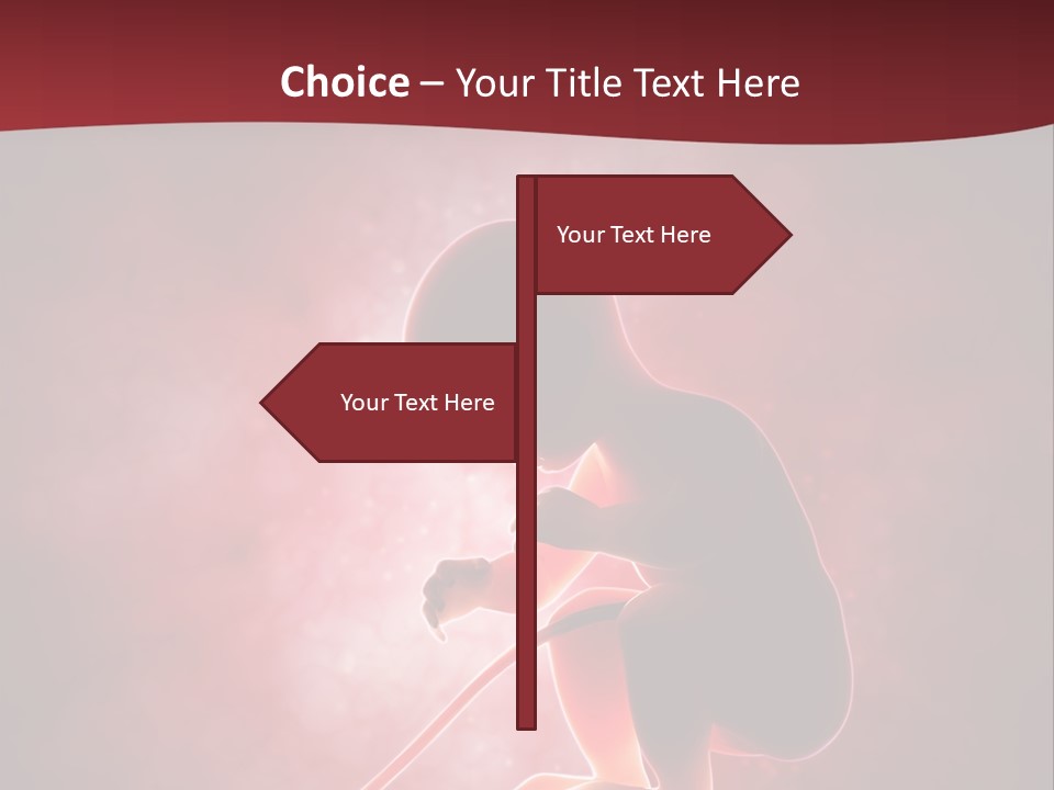 Maternity Embryo Conception PowerPoint Template