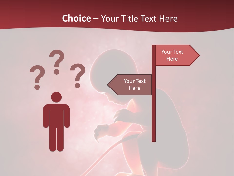 Maternity Embryo Conception PowerPoint Template