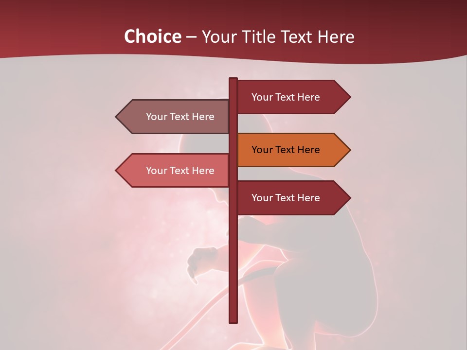 Maternity Embryo Conception PowerPoint Template