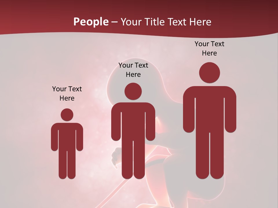 Maternity Embryo Conception PowerPoint Template