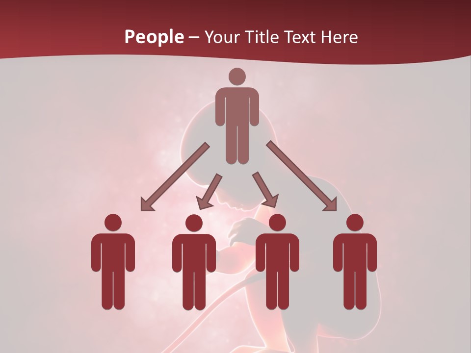 Maternity Embryo Conception PowerPoint Template