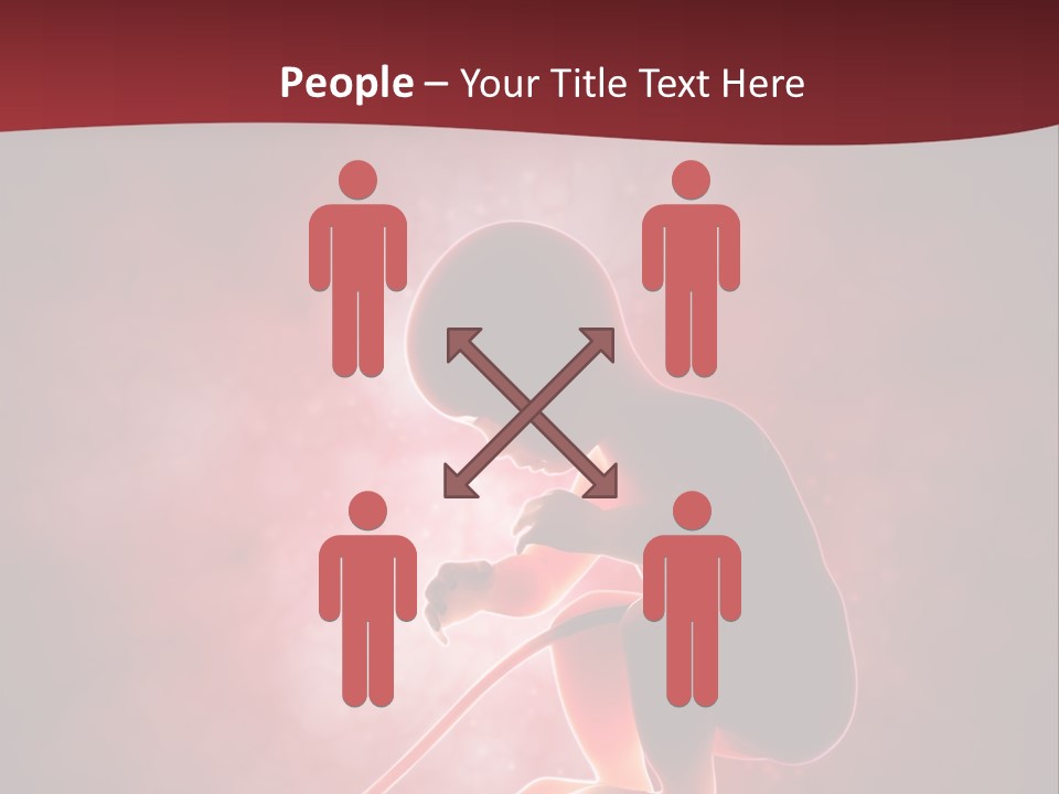 Maternity Embryo Conception PowerPoint Template